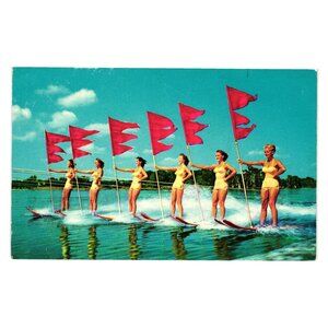 Vintage 1950s Florida Cypress Gardens Aqua Maids Parade Water Skiing Postcard